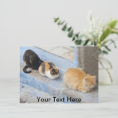  katten, Chefchaouen, Marokkaanse kaart (Staand voorkant)