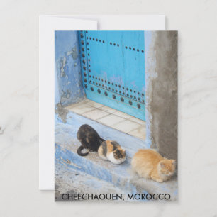 Katten, Chefchaouen, Marokkaanse kaart