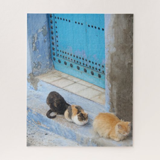 Katten, Chefchaouen, Marokko Legpuzzel (Verticaal)