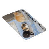 Katten, Chefchaouen, Marokko Magneet (Rechterzijde)