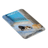 Katten, Chefchaouen, Marokko Magneet (Rechterzijde)