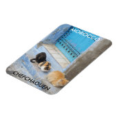 Katten, Chefchaouen, Marokko Magneet (Linkerzijde)