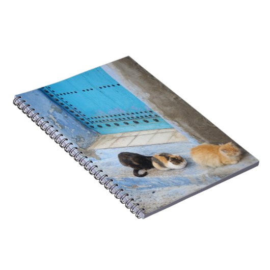 Katten, Chefchaouen, Marokko Notitieboek (Rechterzijde)