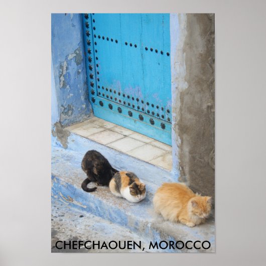 Katten, Chefchaouen, Marokko Poster (Voorkant)
