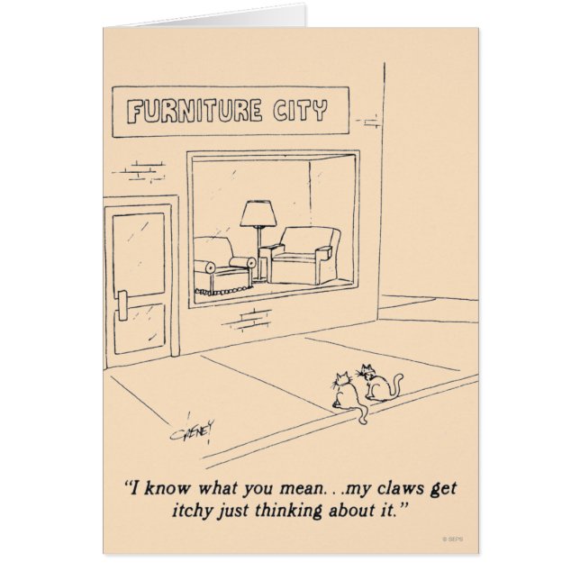 Katten Claeys (Voorkant)