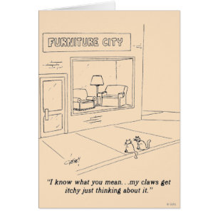 Katten Claeys Meubilair