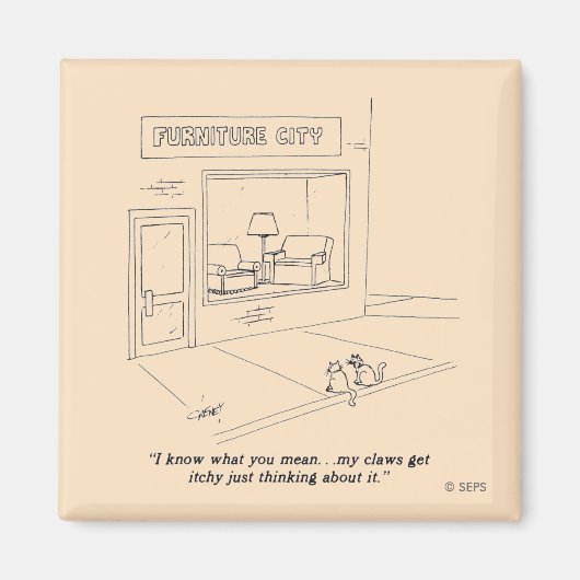 Katten Claeys Meubilair Magneet (Voorkant)