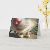 katten close-up kaart (Gele Bloem)