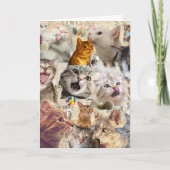 Katten Collage Wenskaart Kaart (Voorkant)
