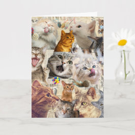 Katten Collage Wenskaart Kaart