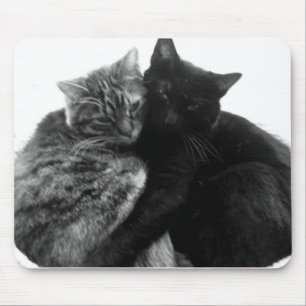 Katten Cuddling Mousepad Muismat