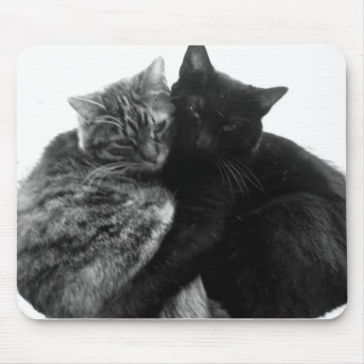 Katten Cuddling Mousepad Muismat (Voorkant)