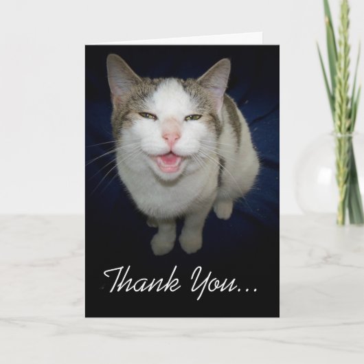 Katten Dankkaart met Glimlach Bedankkaart (Voorkant)