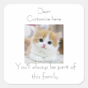 Katten, deel van de familie, eenvoudige schattige vierkante sticker