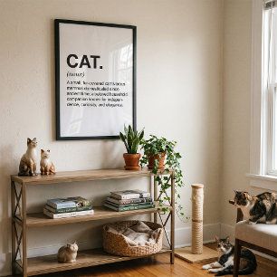 Katten Definitie Zelfstandig Naamwoord Grappige Ka Poster