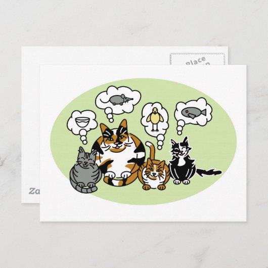 Katten denken briefkaart (Voorkant / Achterkant)