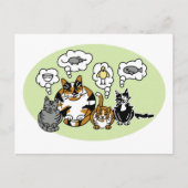 Katten denken briefkaart (Voorkant)