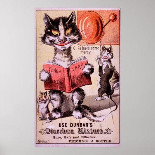 Katten Diarree Mengsel Poster (Voorkant)
