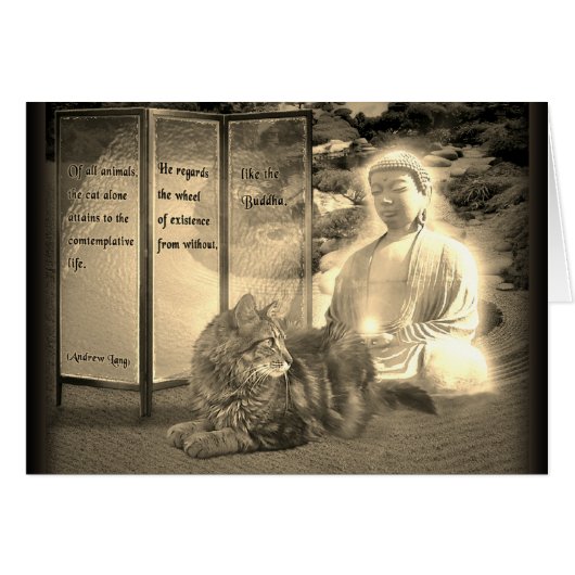 Katten die denken aan Boeddha (Voorkant Horizontaal)