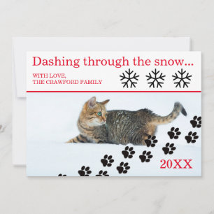 Katten die door de Sneeuw Dalen - Kerstkaart