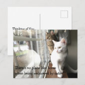 Katten die door het Venster worden gezeten Briefkaart (Voorkant / Achterkant)