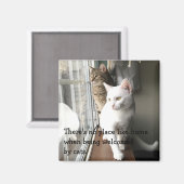 Katten die door het Venster worden gezeten Magneet (Voorkant / Achterkant)