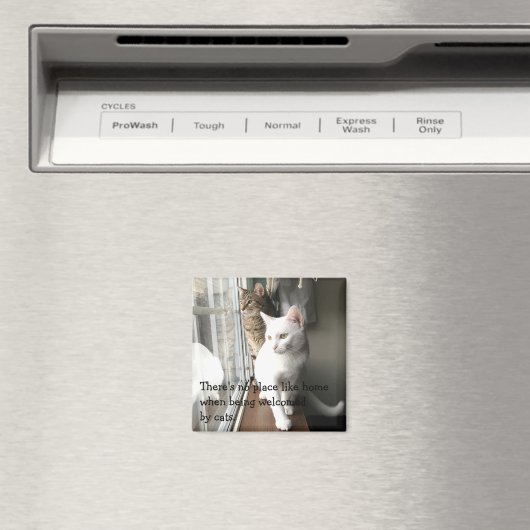 Katten die door het Venster worden gezeten Magneet (Insitu (Vaatwasser))