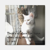 Katten die door het Venster worden gezeten Magneet (Voorkant)