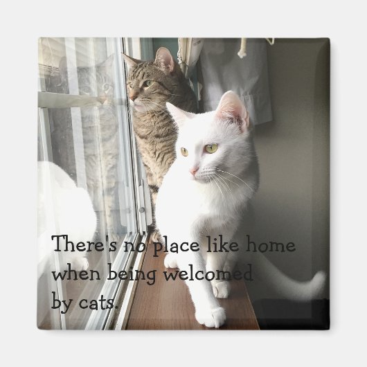 Katten die door het Venster worden gezeten Magneet (Voorkant)