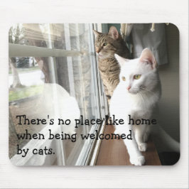 Katten die door het Venster worden gezeten Muismat