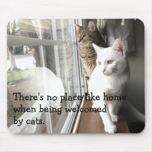 Katten die door het Venster worden gezeten Muismat (Voorkant)
