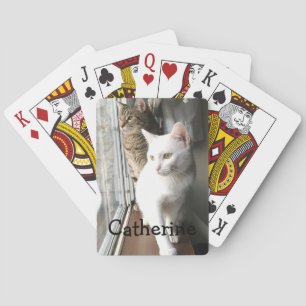 Katten die door het Venster worden gezeten Pokerkaarten