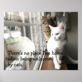 Katten die door het Venster worden gezeten Poster