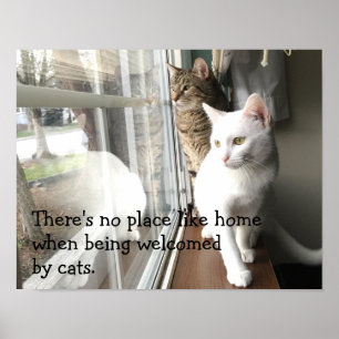 Katten die door het Venster worden gezeten Poster