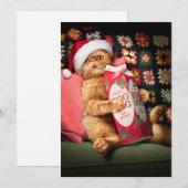 Katten die Eierpunch drinken Kaart (Voorkant / Achterkant)