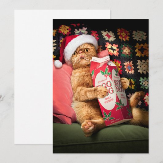 Katten die Eierpunch drinken Kaart (Voorkant / Achterkant)