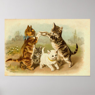 Katten die  illustratie spelen poster