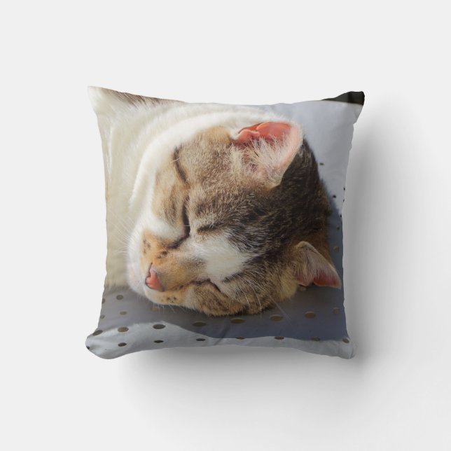 Katten die in een tuin slapen kussen (Voorkant)