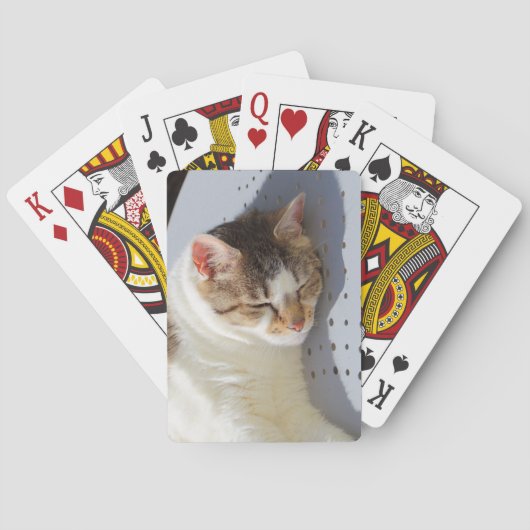 Katten die in een tuin slapen pokerkaarten (Achterkant)