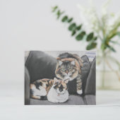 Katten die kunstmatig Briefkaart uitkleden (Staand voorkant)