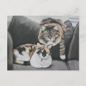 Katten die kunstmatig Briefkaart uitkleden (Voorkant)