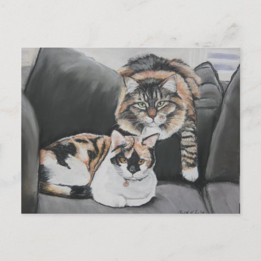 Katten die kunstmatig Briefkaart uitkleden (Voorkant)