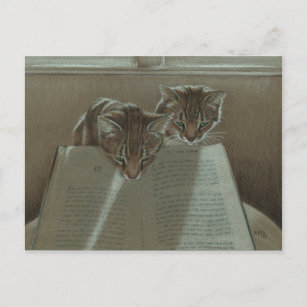 Katten die me helpen boeken te lezen briefkaart