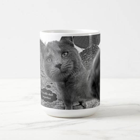 Katten die Mok met koorts gebruiken (Center)