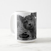 Katten die Mok met koorts gebruiken (Voorkant links)