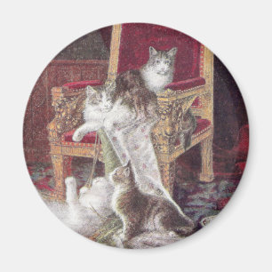 Katten die op Red Velvet-stoel spelen  Magneet