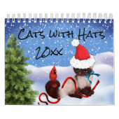 Katten die Petten Agenda voeren Kalender (Hoes)