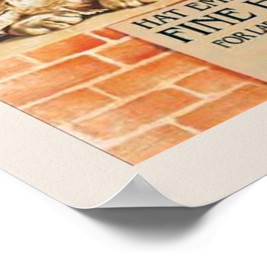 Katten die Petten Poster dragen (Hoek)