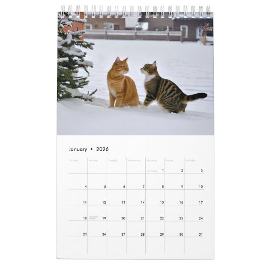 Katten die plezier hebben kalender (Jan 2026)