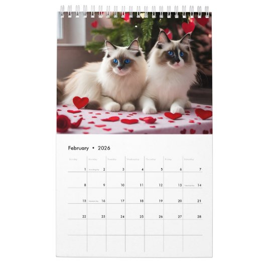 Katten die plezier hebben kalender (Feb 2026)